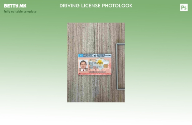 Модерен стил Казахстан DL photolook ПРЕДЕН шаблон